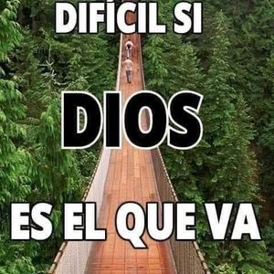 Meet your Posher, Antonio